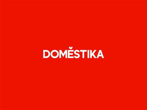 Domestika